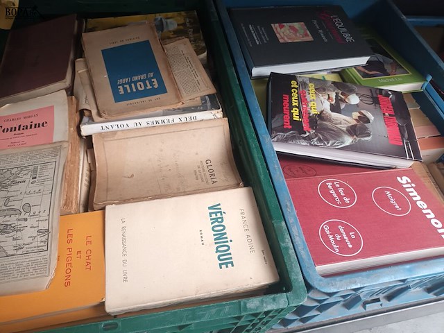 Lot 191 - boeken - afbeelding 3 van  6