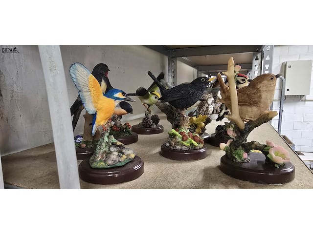 Lot 198 - leuke collectie vogeltjes 9 stuks - afbeelding 3 van  3