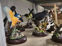 Lot 198 - leuke collectie vogeltjes 9 stuks - afbeelding 3 van  3