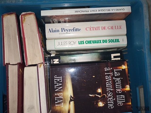 Lot 2 - franstalige boeken. 2 bakken - afbeelding 3 van  6