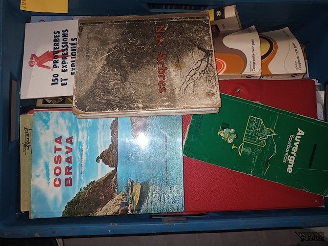 Lot 2 - franstalige boeken. 2 bakken - afbeelding 5 van  6