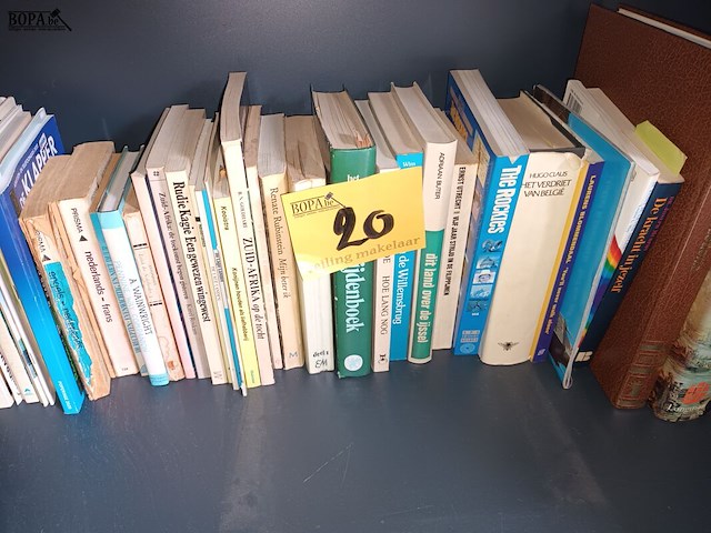 Lot 20 - boeken. 37 stuks - afbeelding 1 van  4