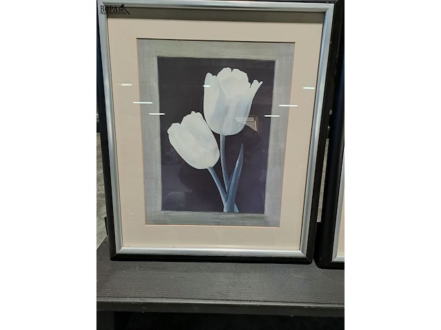 Lot 20 - ingelijste kunstprints afbeelding van witte tulpen en lelies - afbeelding 2 van  3