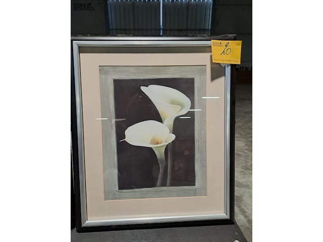 Lot 20 - ingelijste kunstprints afbeelding van witte tulpen en lelies - afbeelding 3 van  3