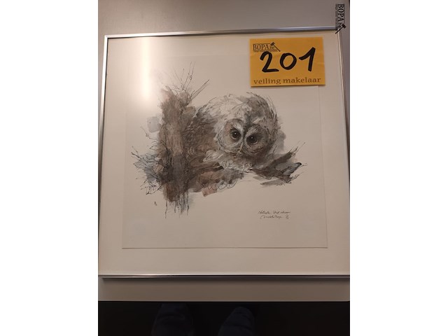 Lot 201 - kader uil - afbeelding 1 van  3