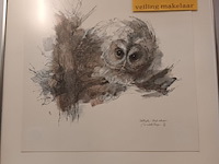 Lot 201 - kader uil - afbeelding 1 van  3