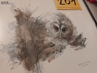 Lot 201 - kader uil - afbeelding 2 van  3