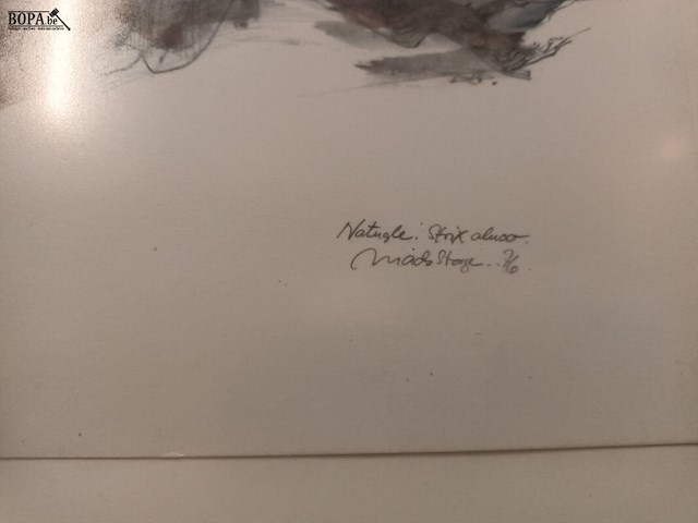 Lot 201 - kader uil - afbeelding 3 van  3