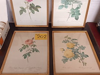 Lot 202 - kaders met bloemen. 4 stuks - afbeelding 1 van  4
