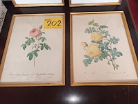 Lot 202 - kaders met bloemen. 4 stuks - afbeelding 2 van  4