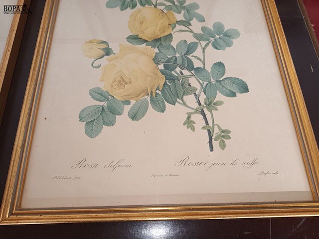 Lot 202 - kaders met bloemen. 4 stuks - afbeelding 4 van  4