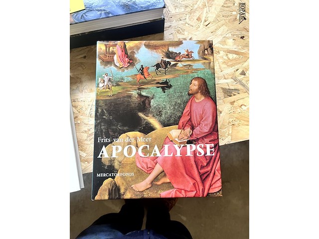 Lot 206 - frits van der meer apocalypse - afbeelding 1 van  6