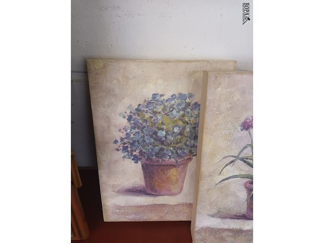 Lot 208 - kaders planten - afbeelding 4 van  4
