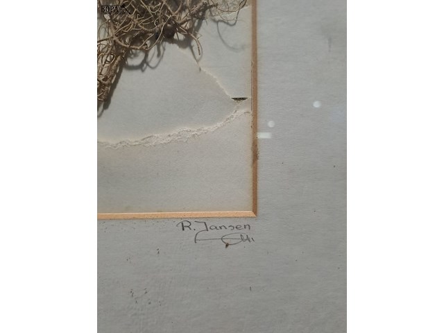 Lot 21 - kunstwerk in reliëf van gedroogde planten in goudkleurige al - afbeelding 3 van  4