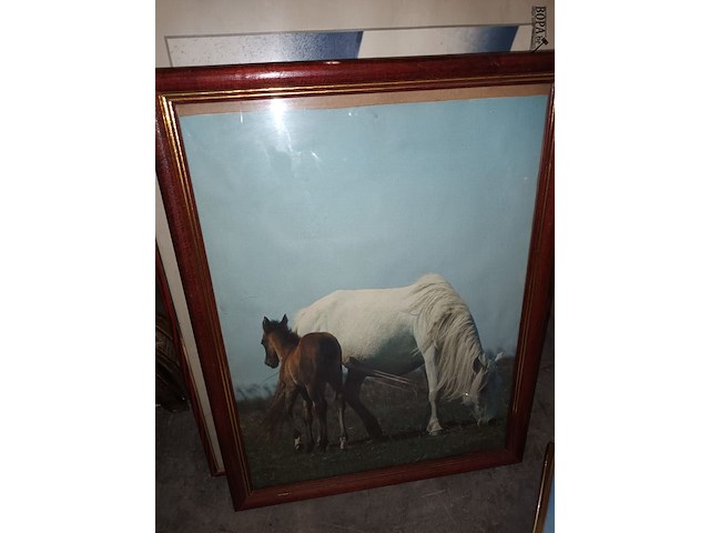 Lot 211 - kaders. 8 stuks - afbeelding 5 van  7