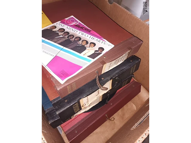 Lot 217 - albums met muziekplaten + losse - afbeelding 4 van  5