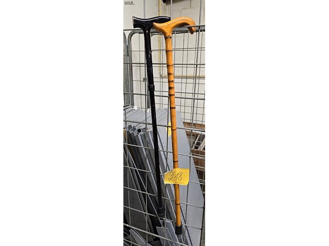 Lot 218 - wandelstokken 2 stuks - afbeelding 1 van  2