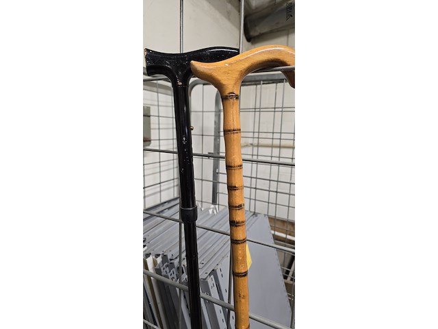 Lot 218 - wandelstokken 2 stuks - afbeelding 2 van  2