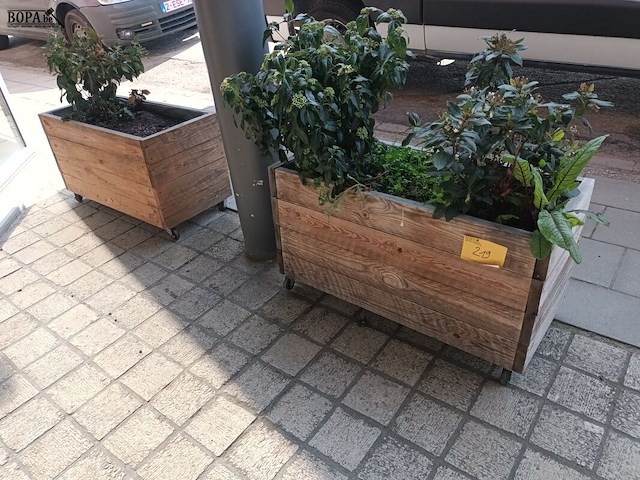 Lot 219 - bloembakken op wielen. 3 stuks - afbeelding 1 van  3