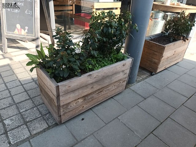 Lot 219 - bloembakken op wielen. 3 stuks - afbeelding 2 van  3