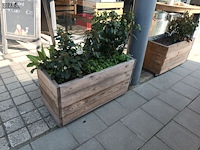 Lot 219 - bloembakken op wielen. 3 stuks - afbeelding 2 van  3