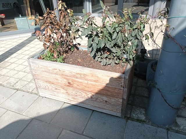 Lot 219 - bloembakken op wielen. 3 stuks - afbeelding 3 van  3