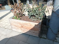 Lot 219 - bloembakken op wielen. 3 stuks - afbeelding 3 van  3