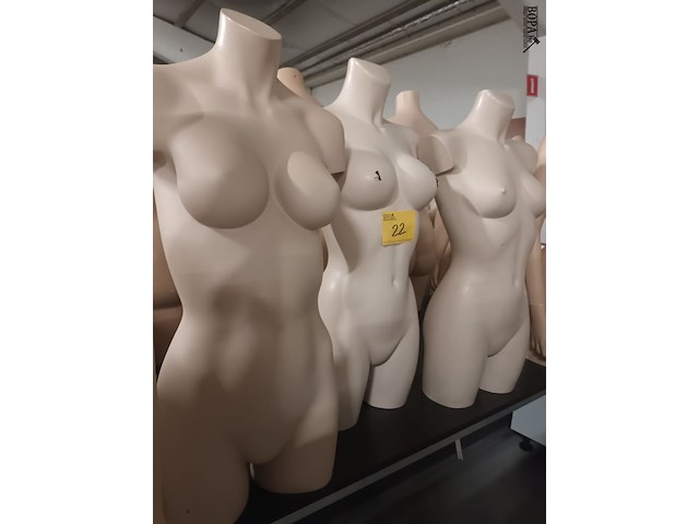 Lot 22 - crème kleur torso vrouw. 3 stuks - afbeelding 2 van  3