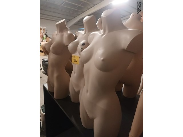 Lot 22 - crème kleur torso vrouw. 3 stuks - afbeelding 3 van  3