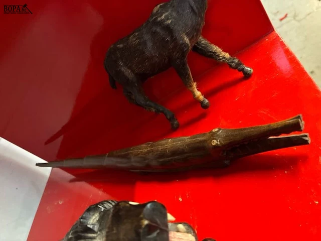 Lot 22 - houten dierenbeeldjes - 3 stuks - afbeelding 2 van  2