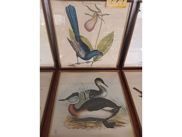 Lot 221 - kaders met vogels. 6 stuks - afbeelding 3 van  4