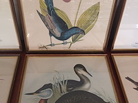 Lot 221 - kaders met vogels. 6 stuks - afbeelding 3 van  4
