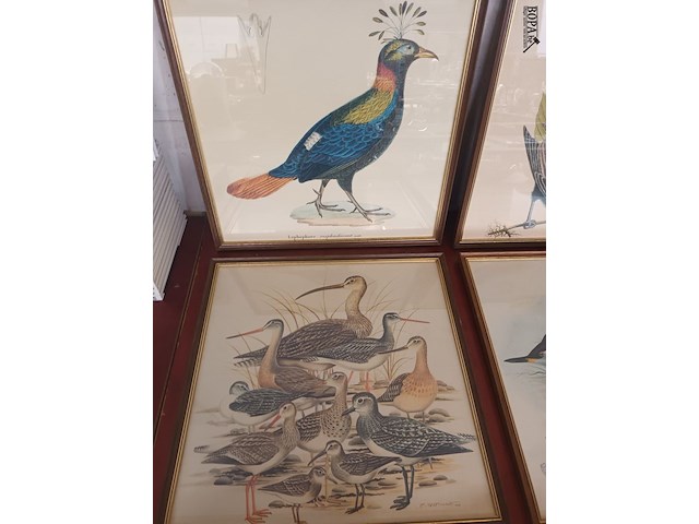 Lot 221 - kaders met vogels. 6 stuks - afbeelding 4 van  4