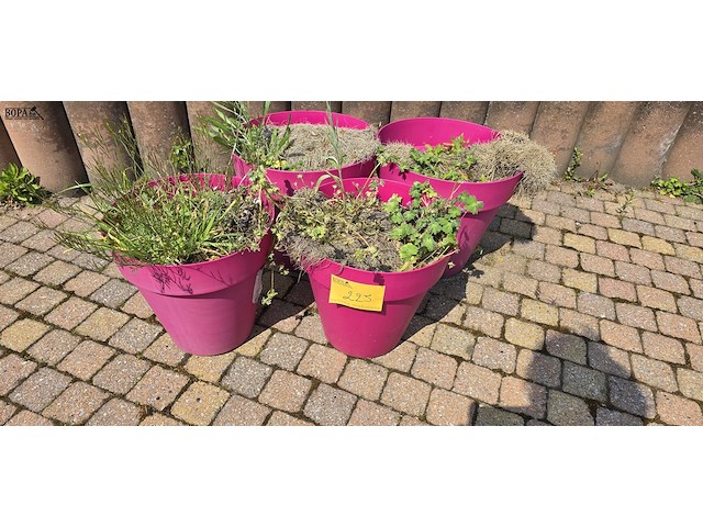 Lot 225 - roze bloempotten. 4 stuks - afbeelding 1 van  3