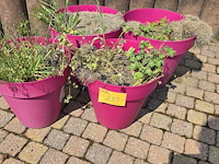 Lot 225 - roze bloempotten. 4 stuks - afbeelding 1 van  3