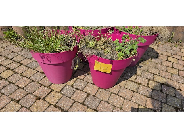 Lot 225 - roze bloempotten. 4 stuks - afbeelding 2 van  3