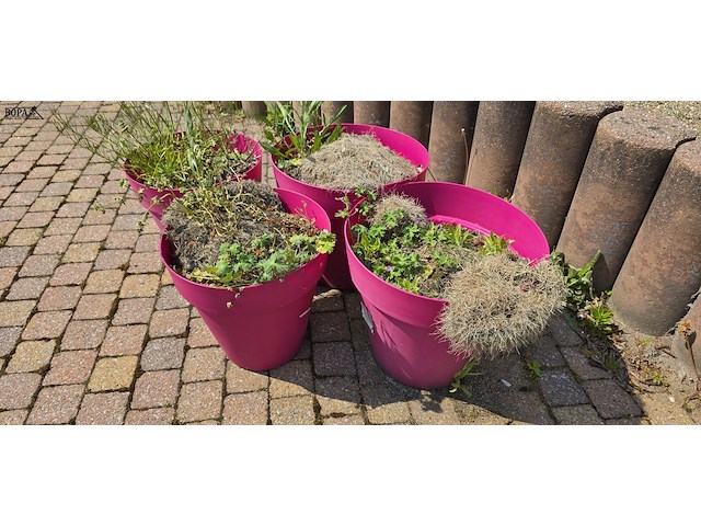Lot 225 - roze bloempotten. 4 stuks - afbeelding 3 van  3