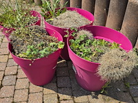 Lot 225 - roze bloempotten. 4 stuks - afbeelding 3 van  3