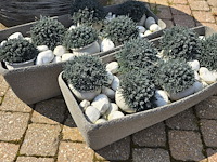 Lot 226 - bloempotten. 3 stuks - afbeelding 2 van  3