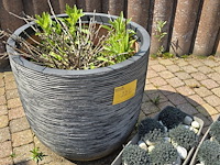 Lot 226 - bloempotten. 3 stuks - afbeelding 3 van  3
