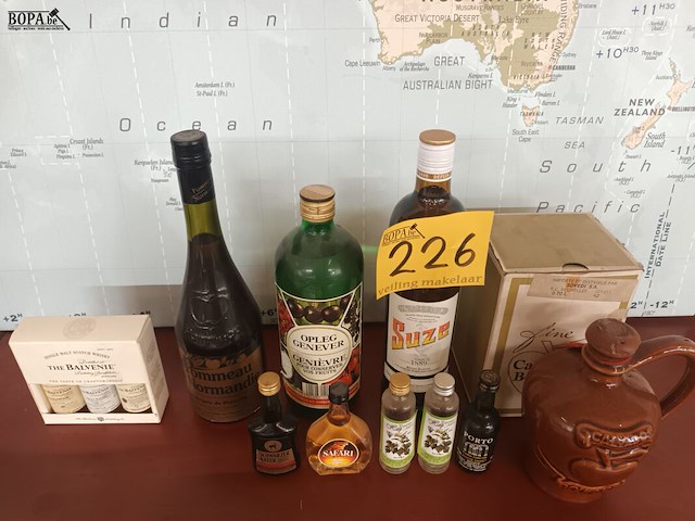 Lot 226 - flessen alcoholische drank. 12 stuks - afbeelding 1 van  5