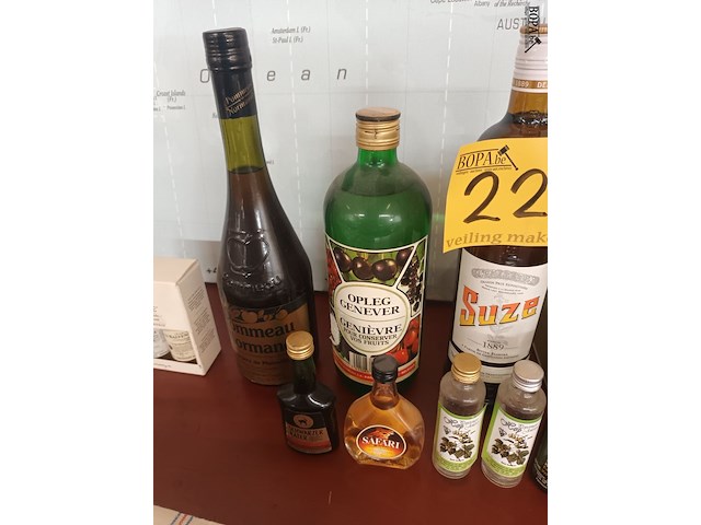 Lot 226 - flessen alcoholische drank. 12 stuks - afbeelding 3 van  5