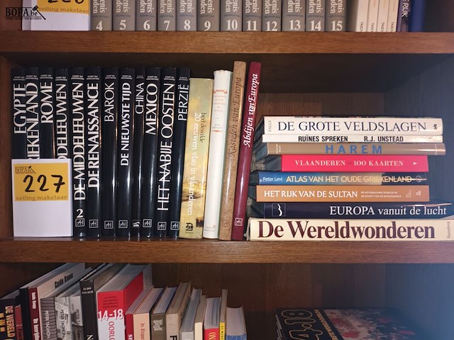 Lot 227 - diverse boeken. 24 stuks - afbeelding 1 van  3