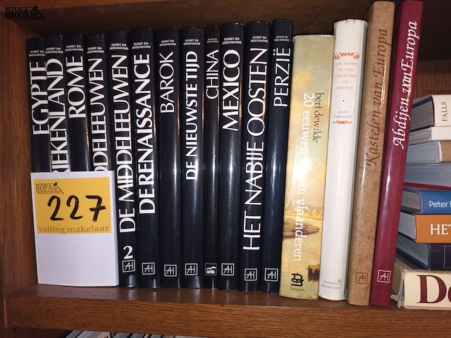 Lot 227 - diverse boeken. 24 stuks - afbeelding 2 van  3