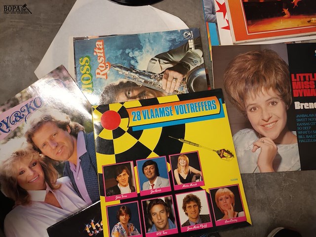 Lot 229 - muziek lp’s. 14 stuks - afbeelding 5 van  6