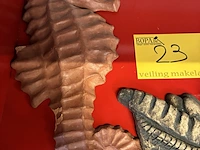 Lot 23 - gebakken kleifiguren - 4 stuks - afbeelding 2 van  5
