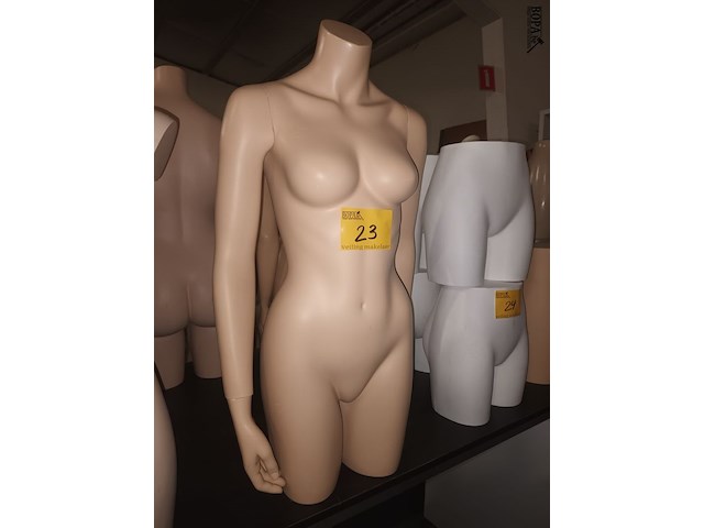 Lot 23 - huidskleur half body vrouw - afbeelding 1 van  3