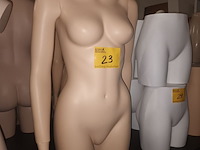 Lot 23 - huidskleur half body vrouw