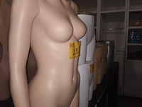 Lot 23 - huidskleur half body vrouw - afbeelding 2 van  3