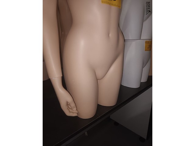 Lot 23 - huidskleur half body vrouw - afbeelding 3 van  3